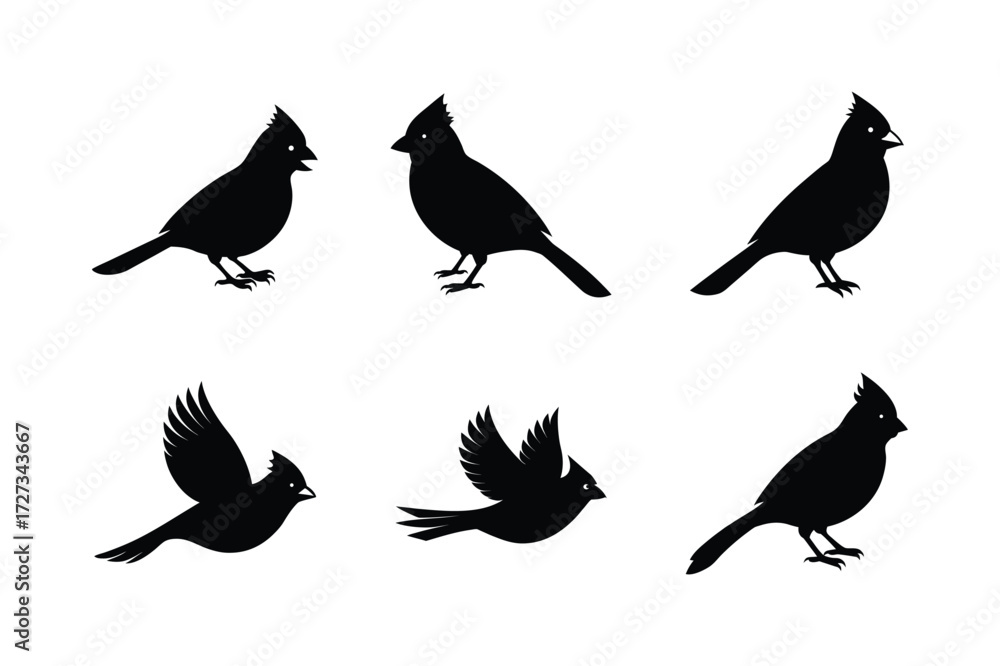 Fototapeta premium Set of different linocut styles of northern cardinal
