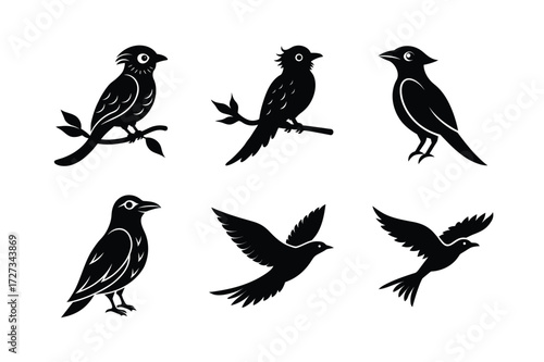Set of different linocut styles of crested barbet