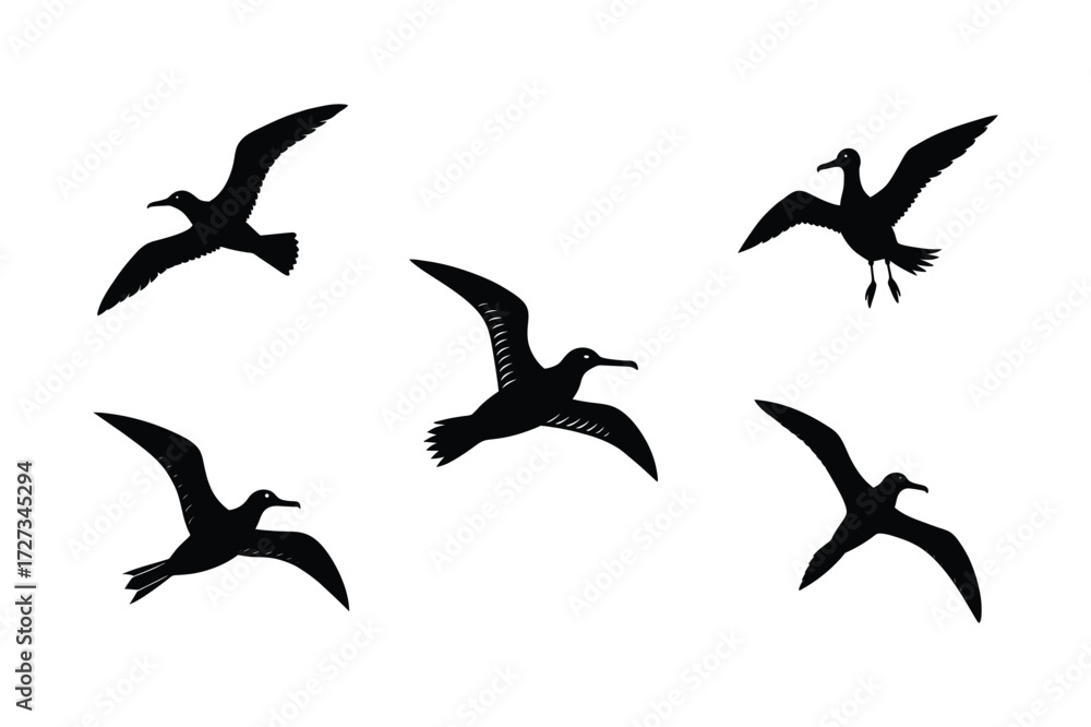 Obraz premium Set of different linocut styles of albatross