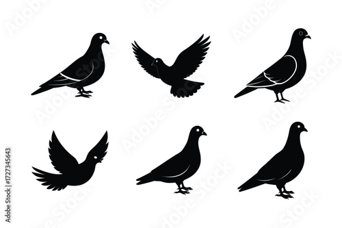 Set of different linocut styles of band tailed pigeon