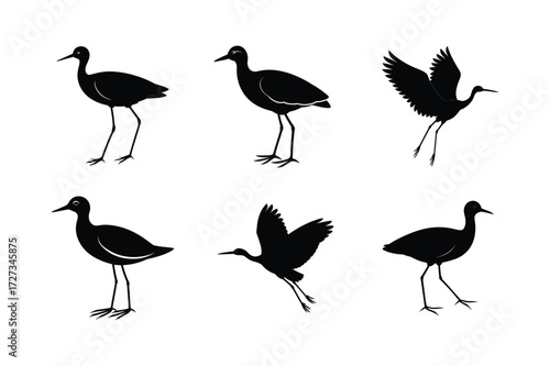 Set of different linocut styles of bronze winged jacana