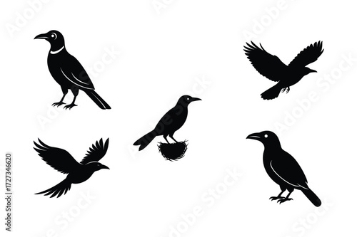 Wallpaper Mural Set of different linocut styles of montezuma oropendola Torontodigital.ca