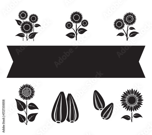 Collection of black silhouette sunflower illustrations and seeds with a blank banner for text isolated on transparent background