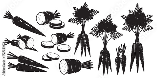 Collection of hand drawn black and white illustrations of carrots and radishes with leafy tops and sliced pieces isolated on transparent background