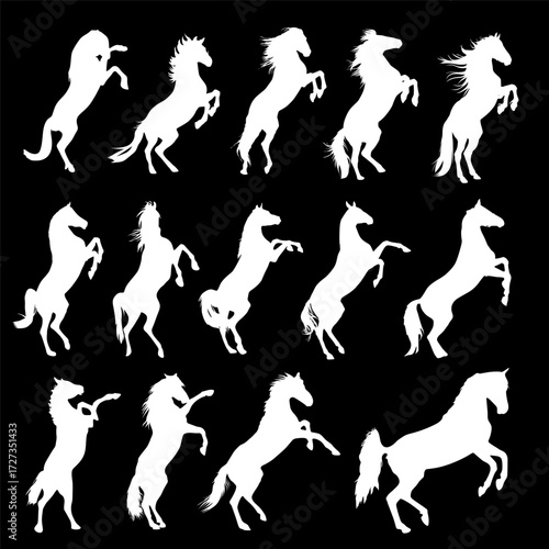 Silhouettes of rearing horses in various poses on a black background, white horses graphic element vector illustration
