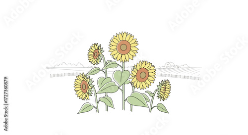 Hand-drawn illustration of vibrant sunflowers with green leaves.
