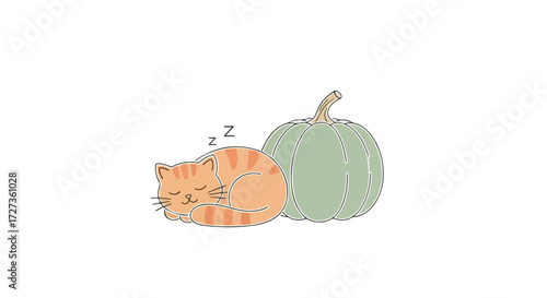 Cute orange tabby cat sleeping peacefully next to a light green pumpkin.