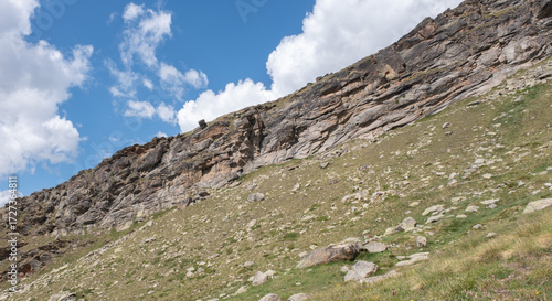 Natural variety found in an Alpine valley. Europe. They were mainly taken in the Gran Paradiso valley, Italy. They were taken during a 7-day hike. From 1800 to 3100 meters altitude. 
