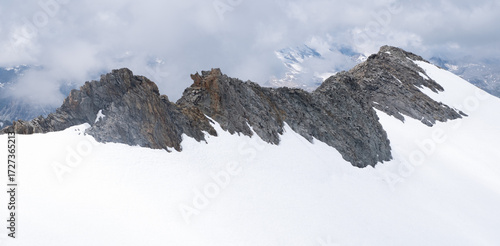 Natural variety found in an Alpine valley. Europe. They were mainly taken in the Gran Paradiso valley, Italy. They were taken during a 7-day hike. From 1800 to 3100 meters altitude. 