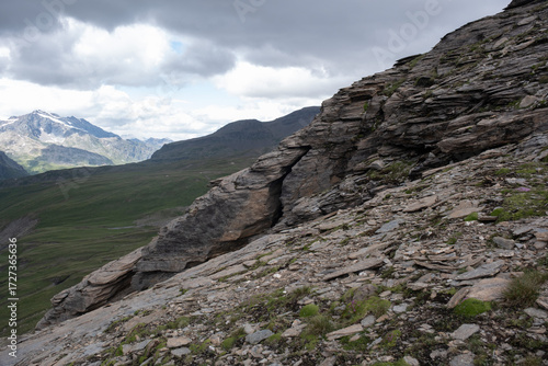 Natural variety found in an Alpine valley. Europe. They were mainly taken in the Gran Paradiso valley, Italy. They were taken during a 7-day hike. From 1800 to 3100 meters altitude. 