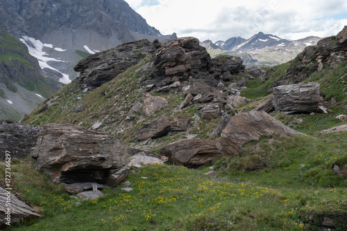 Natural variety found in an Alpine valley. Europe. They were mainly taken in the Gran Paradiso valley, Italy. They were taken during a 7-day hike. From 1800 to 3100 meters altitude. 