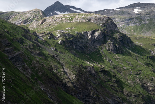 Natural variety found in an Alpine valley. Europe. They were mainly taken in the Gran Paradiso valley, Italy. They were taken during a 7-day hike. From 1800 to 3100 meters altitude. 
