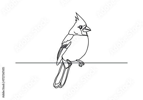 Vector art of line art drawing of a cardinal bird perched on a horizontal line