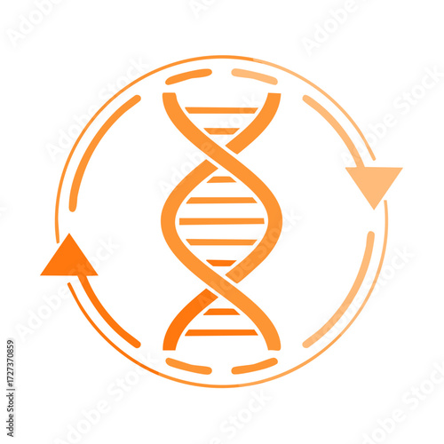 Orange DNA helix symbol enclosed in a circular arrow indicating a cycle or renewal