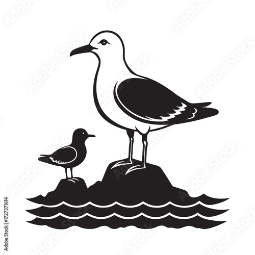 Gull Feeding Chick On Rocky Shore Silhouette