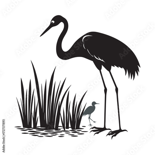 Crane Feeding Chick In Wetland Silhouette