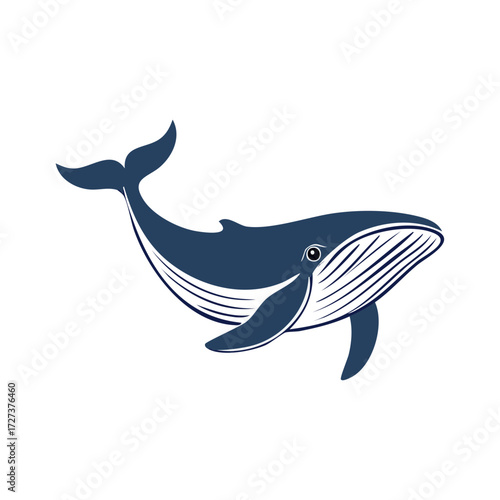 Blue Whale Illustration, Marine Animal Isolated on White Background