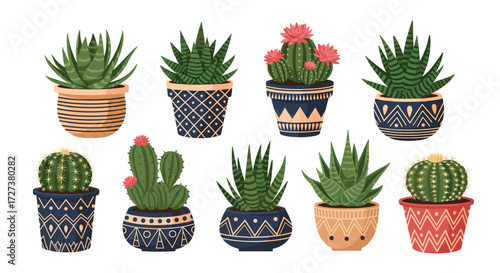 A collection of potted succulents and cacti with decorative pots.