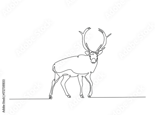Reindeer in single outline illustration. Continuous line art drawing of wild reindeer. Editable stroke.