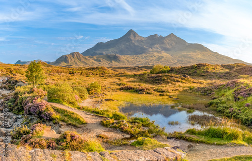 Cuillin Hills – 100-Megapixel-Panorama mit Blick auf Pinnacle Ridge auf der Isle of Skye, aufgenommen im August 2025 bei sonnigem Sommerwetter mit Vulkanlandschaft und Wildblumen im Vordergrund  