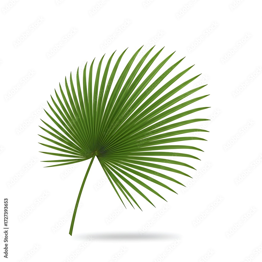 Fototapeta premium Fan-Shaped Green Leaf Botanical Design Element