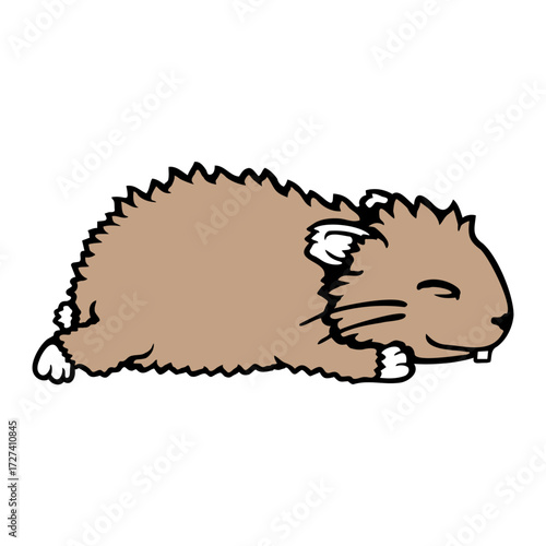 Napping Hamster Rodent Pet Tired Animal Sleeping Sleepy