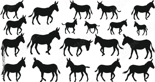 Donkey silhouettes collection in different walking and standing poses, vector animal illustration, livestock artwork, farm design, wildlife clipart, countryside graphic