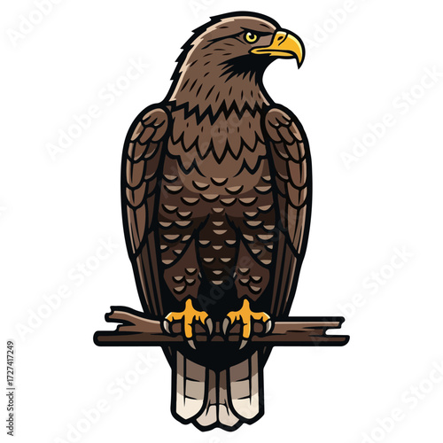 Majestic eagle perched on a branch, observing its surroundings.