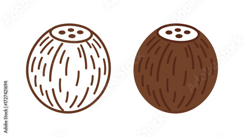 Coconut tropical fruit outline and color illustration set. Simple vector drawing of a brown nut for summer, healthy food, and vacation design elements.