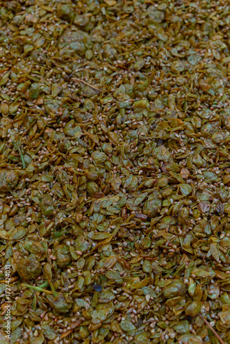 Close-up of grape pomace filling the entire frame, showing skins, seeds, and juice. Highlights textures, deep red-purple colors, and the richness of the winemaking process.