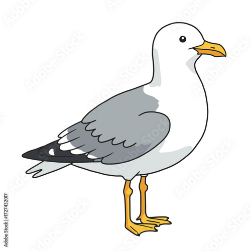 seagull, cartoon, bird, coastal, clipart, illustration, ocean, beach, animal, gull, wings, beak, feathers, white, grey, yellow, cute, standing, sea, shore, marine, flight, flying, nature, water, wildl