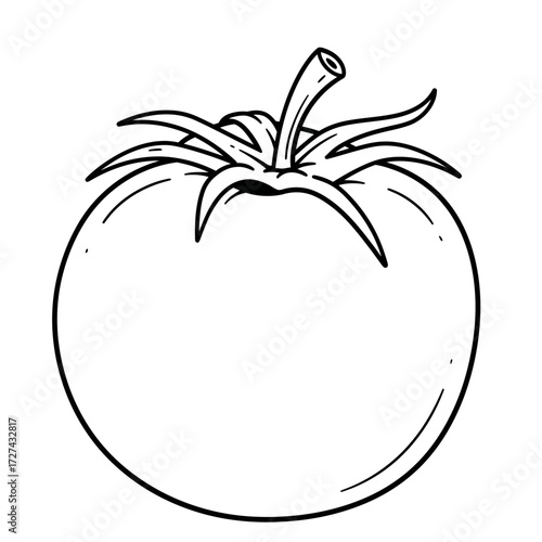tomato, coloring, vegetable, fruit, kids, food, outline, drawing, sketch, lineart, printable, healthy, red, nature, garden, plant, organic, kitchen, nutrition, fresh, slice, salad, cooking, edible, ra