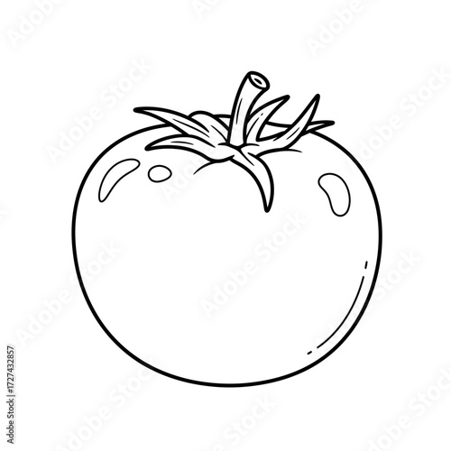 tomato, coloring, vegetable, fruit, kids, food, outline, drawing, sketch, lineart, printable, healthy, red, nature, garden, plant, organic, kitchen, nutrition, fresh, slice, salad, cooking, edible, ra
