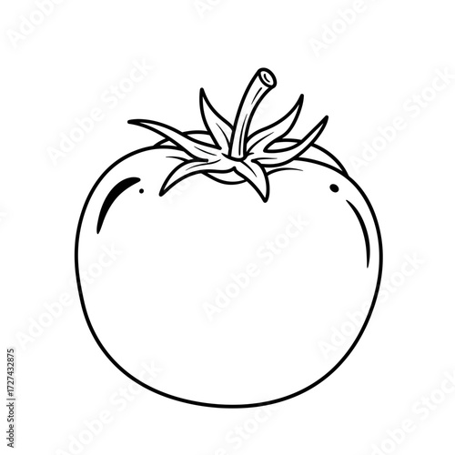 tomato, coloring, vegetable, fruit, kids, food, outline, drawing, sketch, lineart, printable, healthy, red, nature, garden, plant, organic, kitchen, nutrition, fresh, slice, salad, cooking, edible, ra