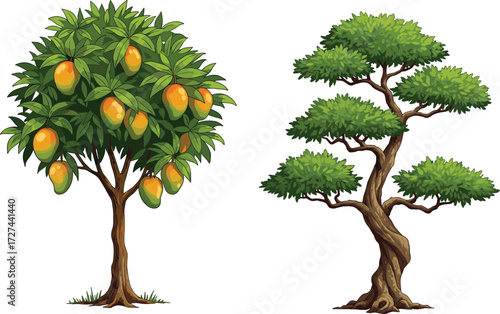 Mango tree with ripe fruit beside ornamental bonsai-style tree, green foliage, nature contrast, garden landscape, tropical plants, seasonal growth