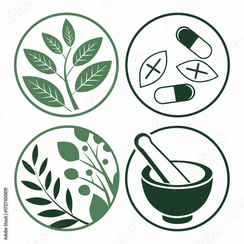 Four circles depicting herbal medicine elements including plants capsules and mortar and pestle icon set