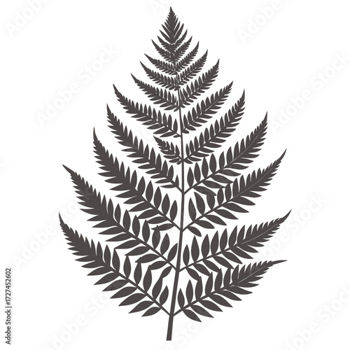 Intricate fern leaf silhouette vector illustration detailed fronds scalable graphics for nature designs