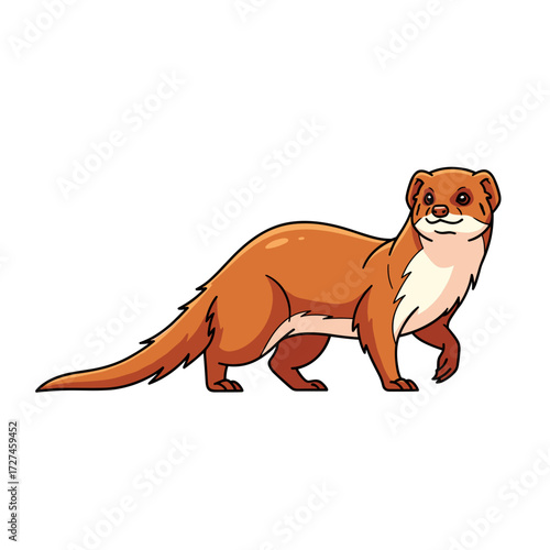 Adorable cartoon weasel illustration standing with reddishbrown fur white underbelly and a curious expression.