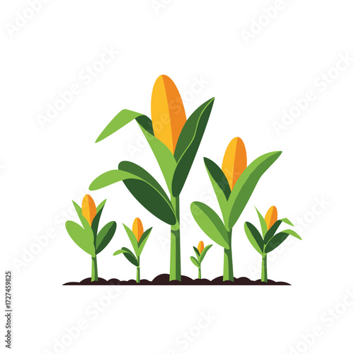 Cartoon Corn Plants with Green Leaves and Yellow Corncobs in Soil.
