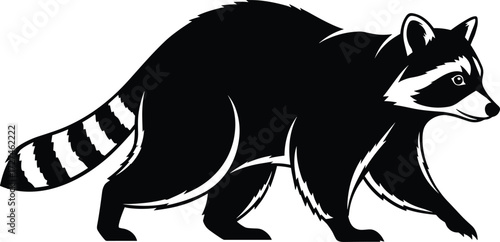 Stylized raccoon silhouette vector in walking pose, black and white illustration, ringed tail, mask pattern, wild animal graphic design