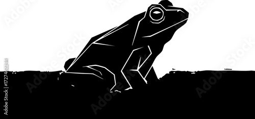 Konstfotografi Striking geometric frog silhouette captures nature's modern elegance, perfect for conservation and design projects
