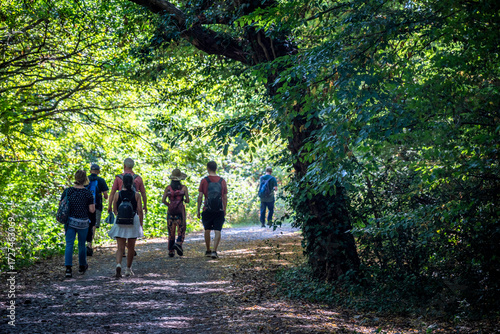 Fototapeta People hiking in Epping Forest, is a 2,400-hectare area of ancient woodland whic