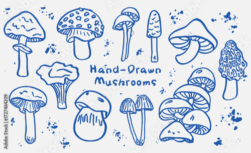 Konstfotografi Set of outlined mushrooms in blue ink style with splashes and blobs