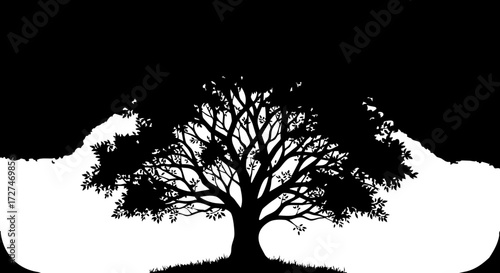 Majestic ancient oak tree silhouette flourishes with intricate branches and lush foliage on a grassy hill, symbolizing growth and nature's enduring beauty.