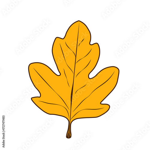 Autumn fallen leaf is orange with streaks on a white background. An isolated cartoon sheet for autumn designs. Vector EPS 10