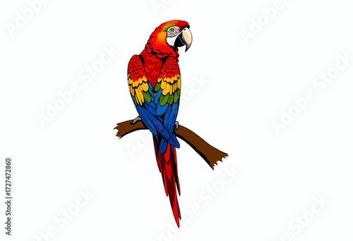 Vibrant Scarlet Macaw Perched Magnificently on a Branch Against a Pristine White Background, Showcasing Brilliantly Colorful Feathers and an Intense Gaze