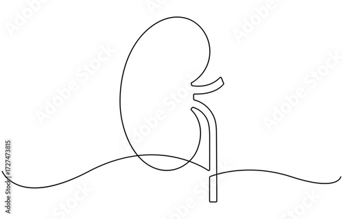 One continuous line drawing of the human kidney organ.