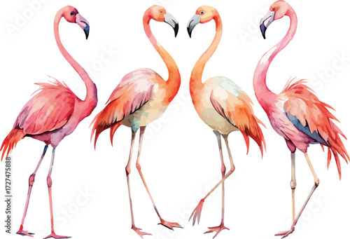 Set of Four Pink Flamingos Birds Classic Watercolor Vector Illustration