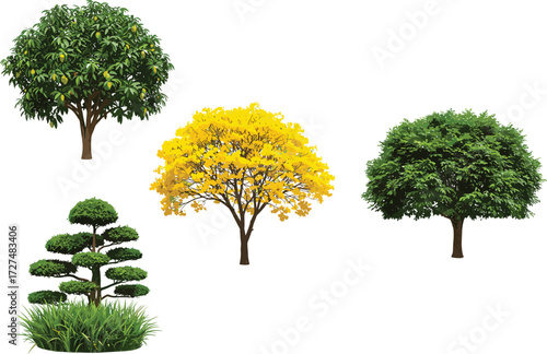 Different types of trees illustration, flowering tree with yellow blossoms, fruit tree with green leaves, ornamental topiary, lush deciduous tree vector