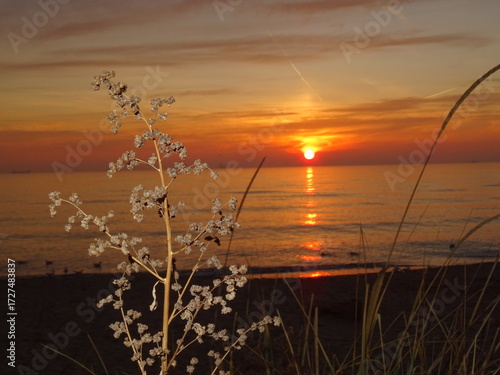 View from Black sea at Varna - BG